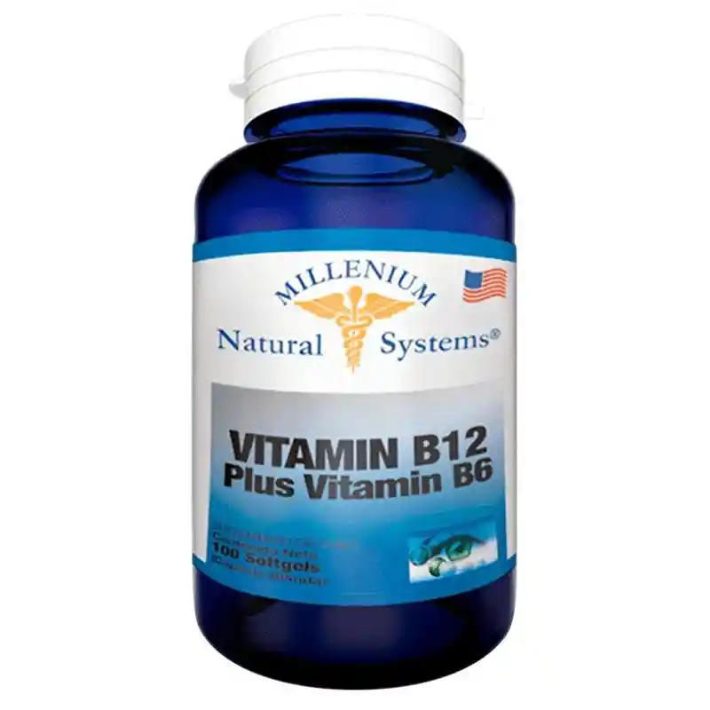 Vitamin B12 Plus Vitamin B6 X 100 S/g System