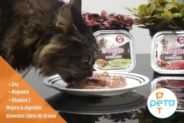 Alimento Húmedo Gatos - Pollo Y Jamón - Super Premium Miglior Gatto