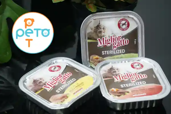 Alimento Húmedo Gatos - Pollo Y Jamón - Super Premium Miglior Gatto