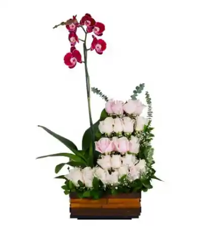 Orquidea Arreglo En Rosas Con