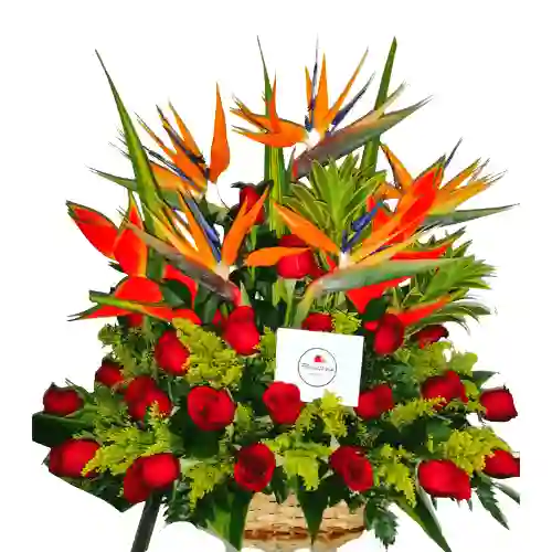 Arreglo Floral Tropical Con Rosas