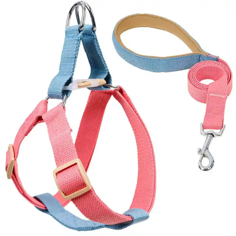 Lazo Para Perro De Arnes Con Herrajes De Lujo Colores Vivos - Rosado Con Azul