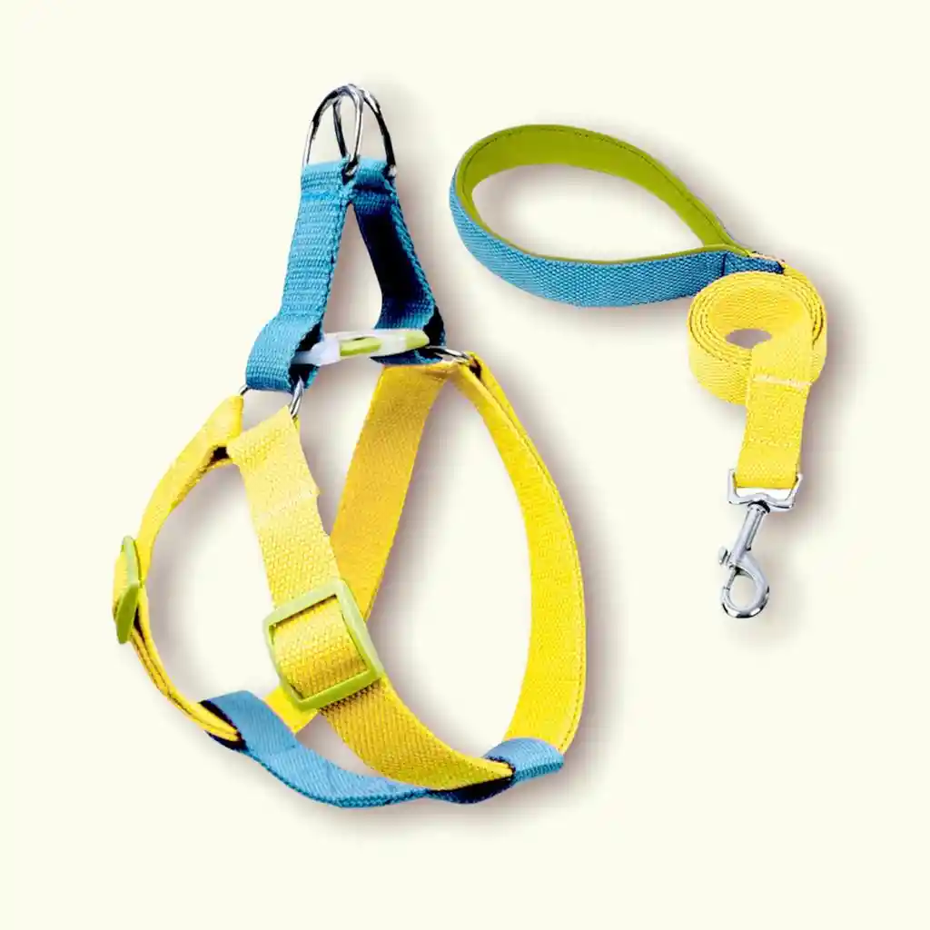 Lazo Para Perro De Arnes Con Herrajes De Lujo Colores Vivos Amarillo Con Azul