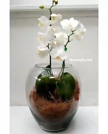 Orquideas Glass