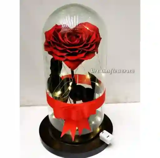 Rosa Corazon