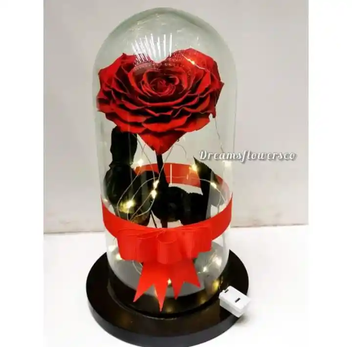 Rosa Corazon