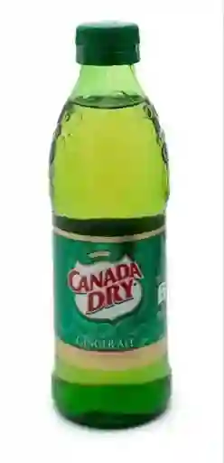 6 Botella Ginger Ale Canada Dry