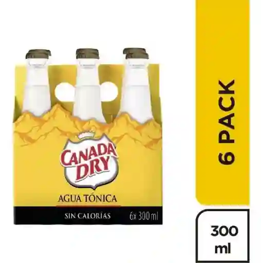 Canada Dry Agua Tonica Sixpack