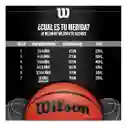 Wilson Balon Basketball Baloncesto Authentic Nba #6