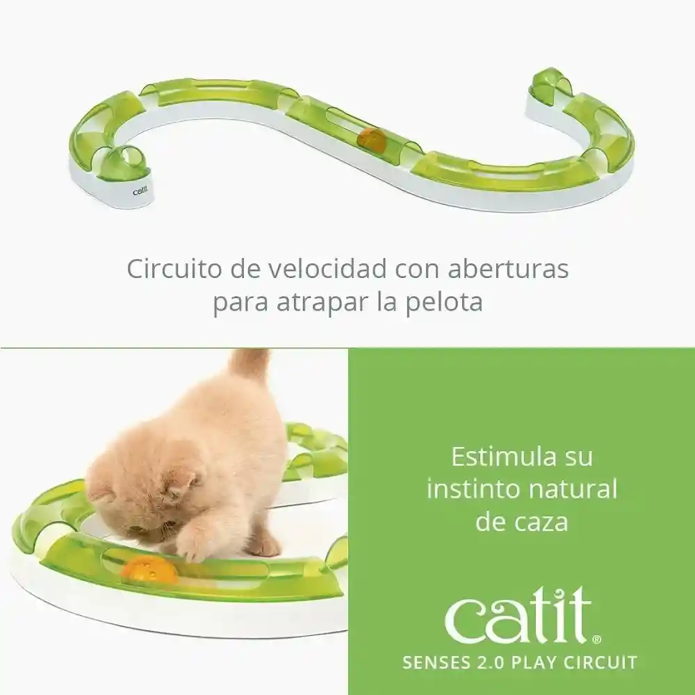 Cat It Circuito De Juego Para Gatos
