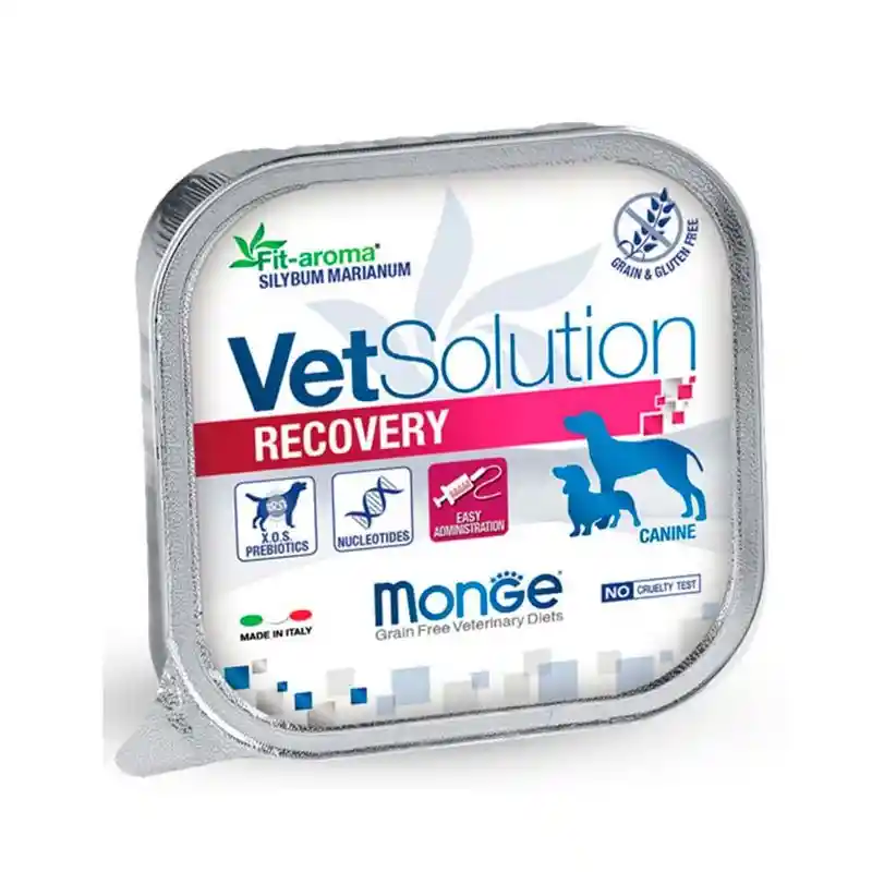 Vet Solution Recovery Perro