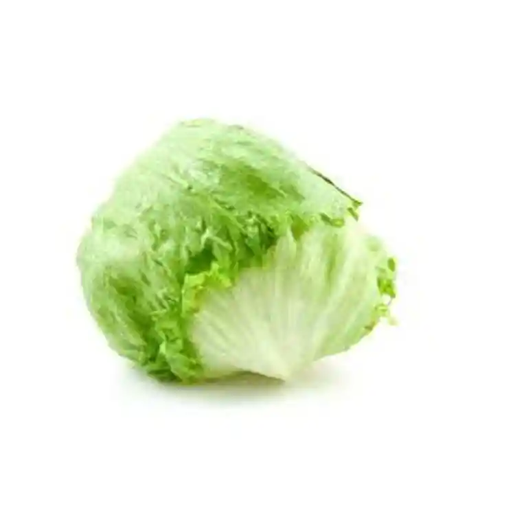 Lechuga Batavia