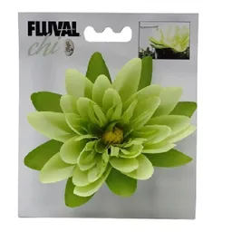 Planta Decorativa Para Acuarios Flor Fluvial