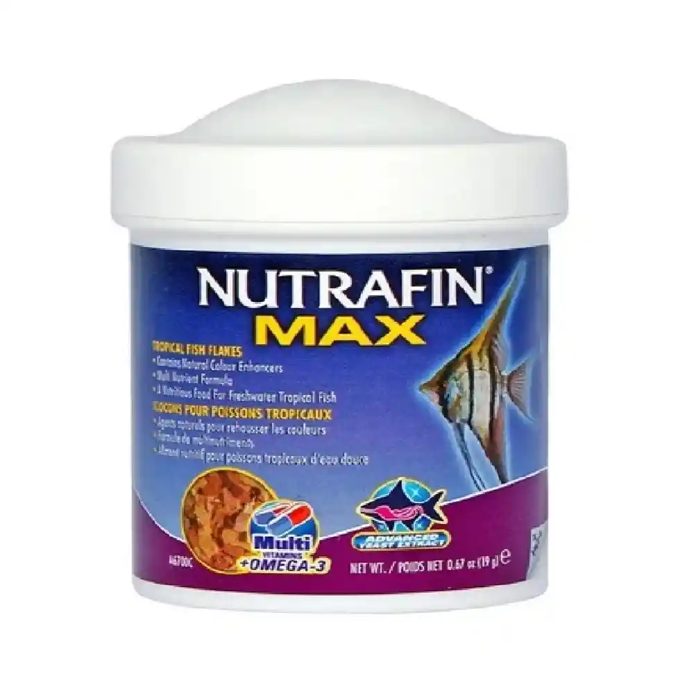 Comida Para Peces Nutrafin Max Tropical 38 Gr