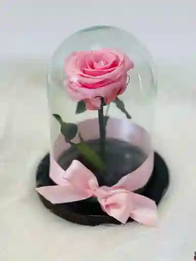 Mini Rosa Preservada Rosada