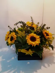 Caja Negra Girasoles