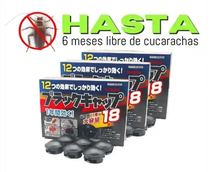 Trampa Mata Cucarachas: Libre De Cucarachas Hasta Por 6 Meses