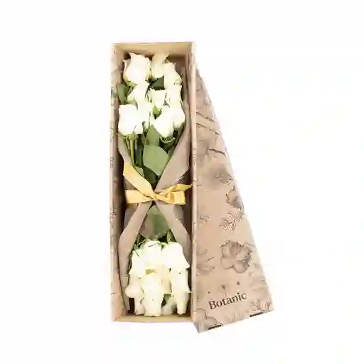 Caja De 24 Rosas Blancas