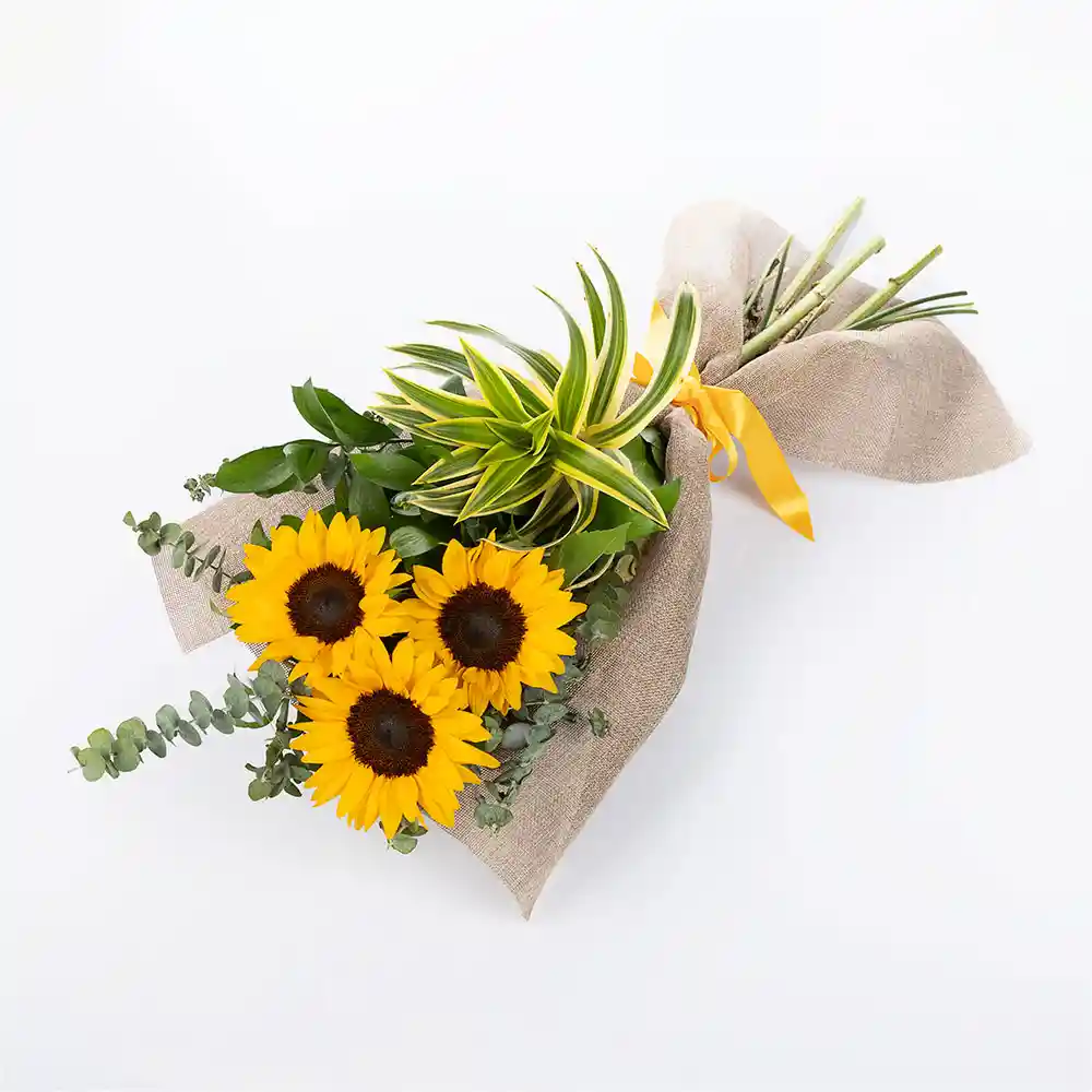 Bouquet De 3 Girasoles