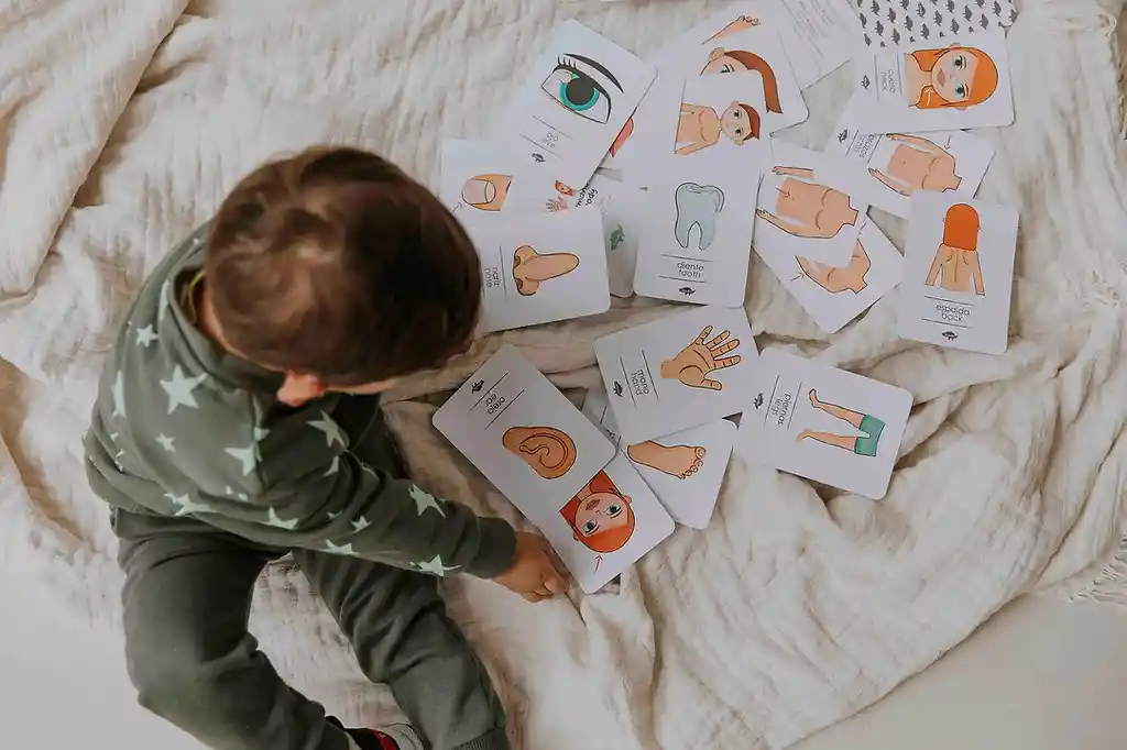 Kocodio Flash Cards Cuerpo Humano Tarjetas Didácticas Niños