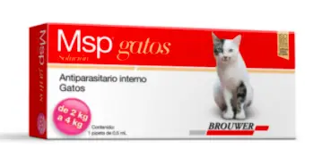 Msp Gato De 2 A 4 Kg