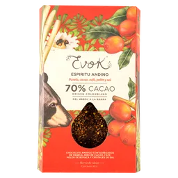 Chocolate Barra V 70% Andino