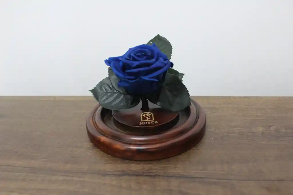 Rosa Inmortalizada Pequeña Azul Oscuro