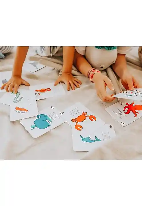 Flashcards Kocodio Animales Acuáticos Cartas Didácticas Niño