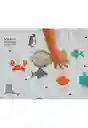 Flashcards Kocodio Animales Acuáticos Cartas Didácticas Niño