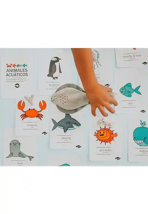 Flashcards Kocodio Animales Acuáticos Cartas Didácticas Niño