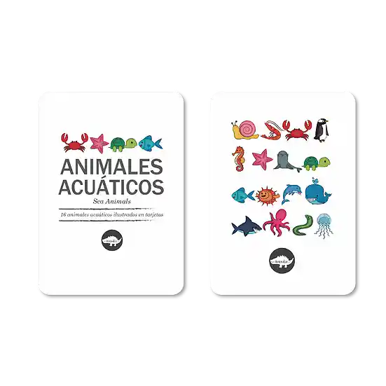 Flashcards Kocodio Animales Acuáticos Cartas Didácticas Niño