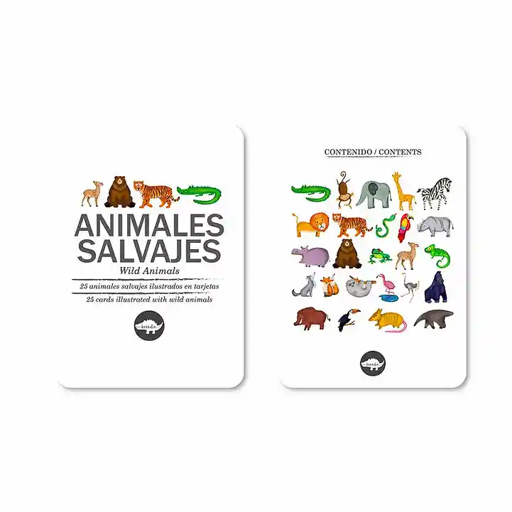 Flash Cards Kocodío Animales Salvajes Cartas Didácticas Niño