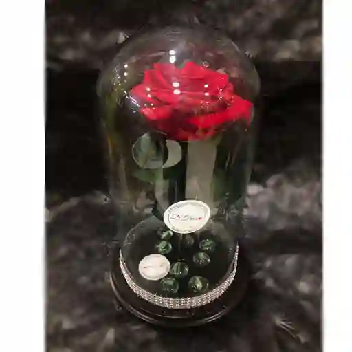 Rosa Eterna