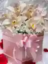 Caja Orquideas