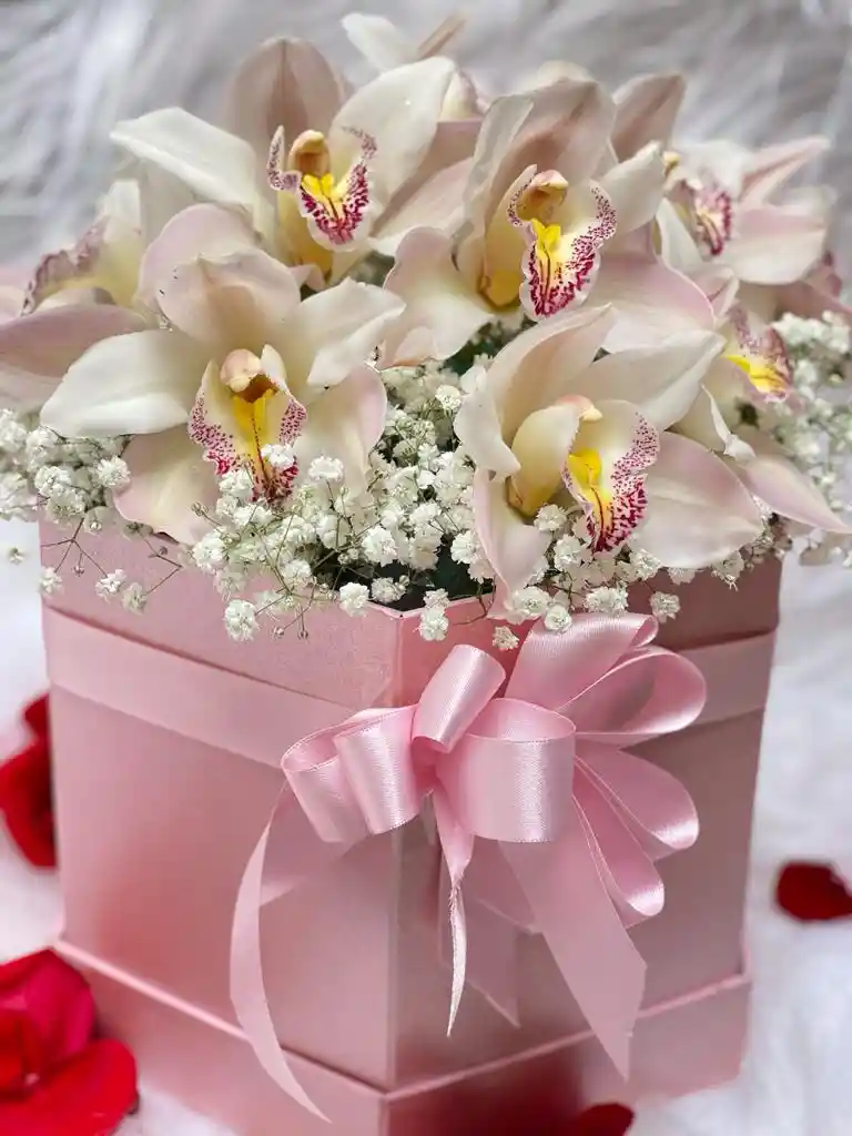 Caja Orquideas