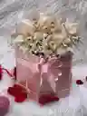 Caja Orquideas
