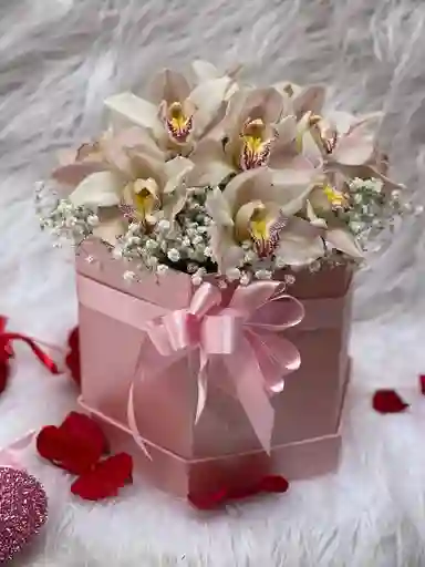 Caja Orquideas