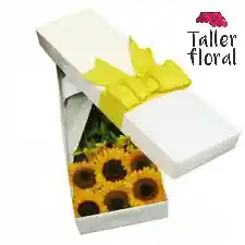 Caja Girasol