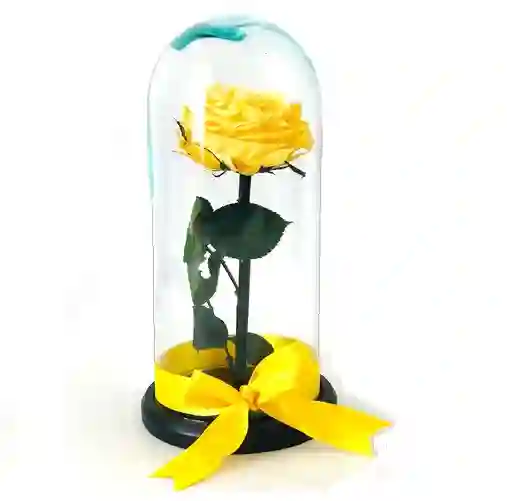 Rosa Preservada Amarilla.