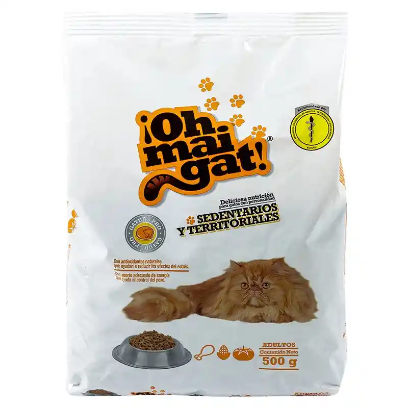   Oh Mai Gat  Gatitos Jugetones 