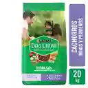 Dog Chow Alimento Adulto 2Kg - Kg A $13100