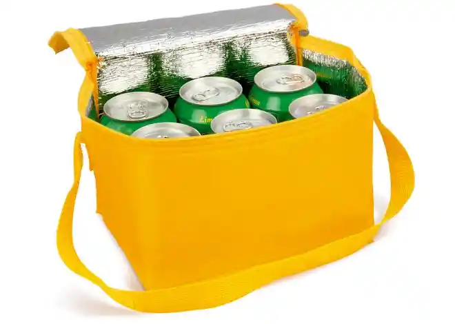 Nevera Lonchera Maleta Bolso Cerveza Refrigerado Portatil