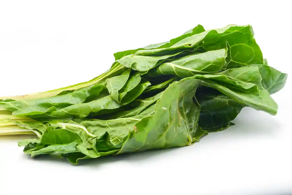 Acelga