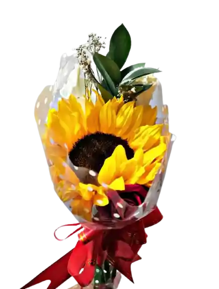 Girasol Y Rosa Con Cartuchos