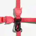 Zee.cat Neon Coral Harness & Leash