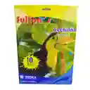 Acetato Transparente Carta Para Fotocopiadora Paq X 10 Und