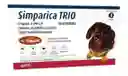 Simparica Trio Antipulgas Y Desparasitante Perros 5-10 Kg