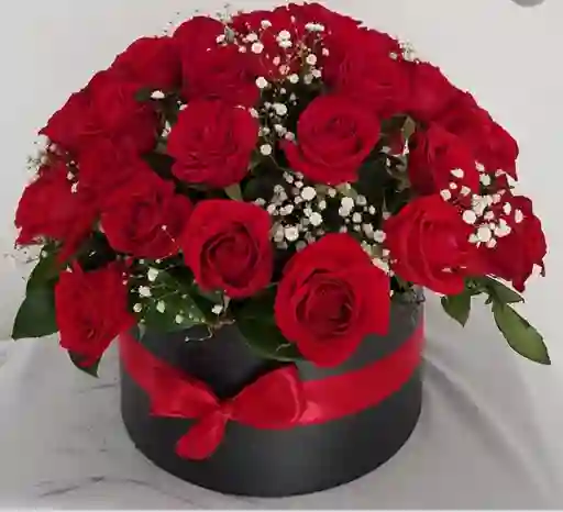 Rosas Que Enamoran