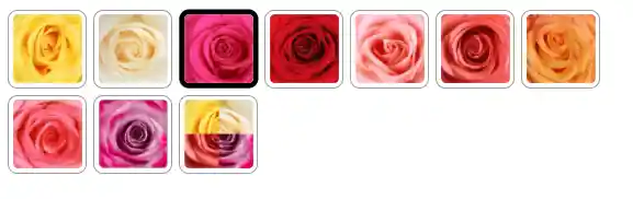 Bouquet Roana Color Fucsia X 12 Rosas