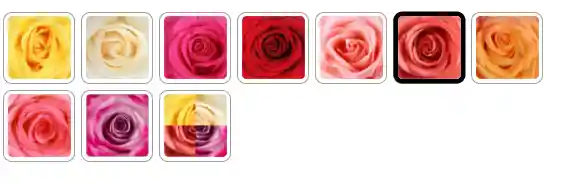 Bouquet Roana Color Salmon X 18 Rosas